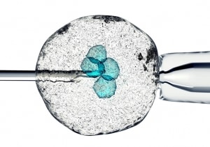 Are Stem Cell Treatment Centers the Newest "Snake Oil" Salespeople?