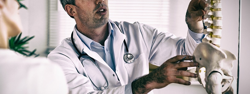 Doctor showing woman part of spine 1178978